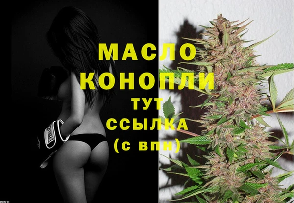 стаф Арсеньев
