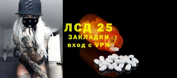 стаф Арсеньев