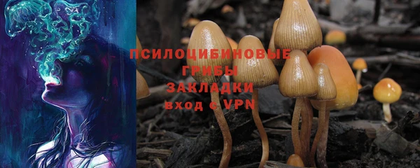 стаф Арсеньев
