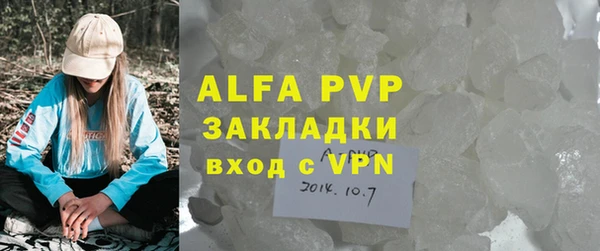 стаф Арсеньев